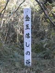 えらいこっちゃ