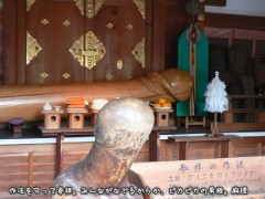 淑女のミナタマ(*^o^*)