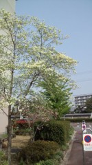 あっちっち(T_T)