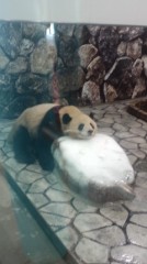 朝日新聞の夕刊