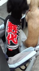 疼いて、仕方がないＳＯＳ