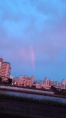 油断も隙も、ありゃしない(*^o^* )