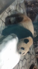 どこまで、口から出任せ(`ヘ´)