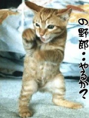 ばかいえだ(`ヘ´)