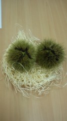 こんな季節なんだなあ～