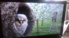 今日は、疲れたよ！