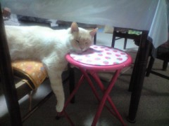 そんなあ～(>_<)