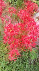 入院３週間目に入りました。