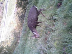 おなか空いた(^_^;)