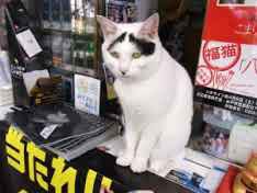 明日のテレビ番組