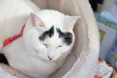 面白かった(*^o^*)