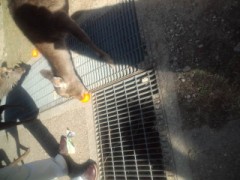 いけずやなあ～