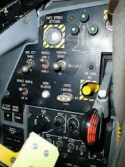 ウッカリ落とした？