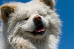 すごいなあ～(*^o^*)