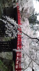 弘前城の桜キレイだなあ～