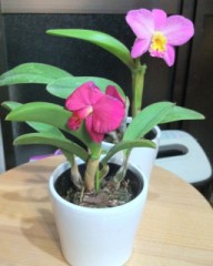 一段落。。。。。