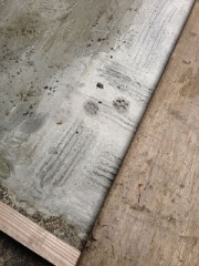 【お題日記】頭で動かずに、気持ちで動いていますか？