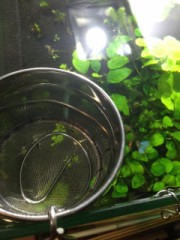 【お題日記】5本指ソックスを持ってる？