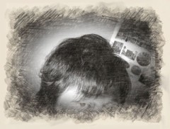 【お題日記】消費税引き上げ直前、一番大きな買い物は?