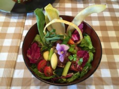 【お題日記】一度やってみたい職業