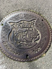 マンホールデザイン