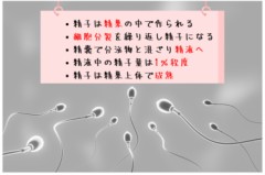 【お題日記】性欲の衰えは感じる？