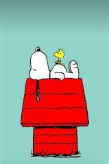 【お題日記】あなたのストレス解消法