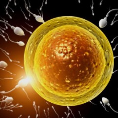 【お題日記】Hが好きと思える様になったのはいつ頃？