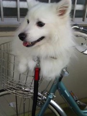 この人ドＳやろ！！