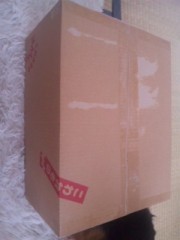 アダルトグッズが到着しちゃったー！！