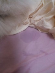 濡れちゃった…