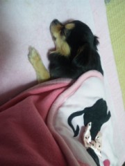 無 職 (≧ω≦)ｂ