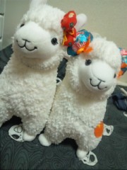 ミラバケッソ♪