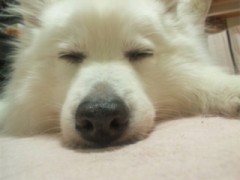 台風のバカー！！