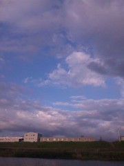 ｳﾜｧｧ━━━━━｡ﾟ(ﾟ´Д｀ﾟ)ﾟ｡━━━━━ﾝ!!