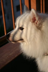 勢いって怖いｗｗ