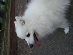 やってしまった…