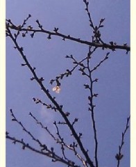 足元の事・・・(￣∇+￣)v