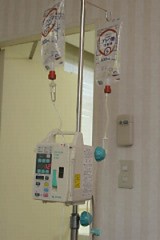 ぴょんきち引きこもり中！！・・・(￣∇+￣)v