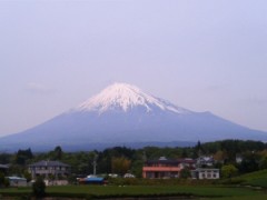 愛のぴょんきち劇場・・・・(￣∇+￣)v