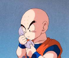 ぴょんきち・・・坊主に・・・(￣∇+￣)v