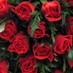 ぴょんきち・・・北へ・・・(￣∇+￣)v