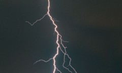 日曜日・・・(￣∇+￣)v