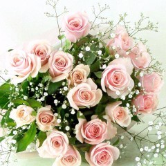 遠距離恋愛・・・(￣∇+￣)v