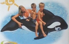 シャチ・・・(￣∇+￣)v