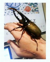 ８月も終わりだね・・・(￣∇+￣)v