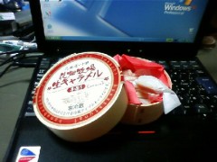 頂き物・・・(￣∇+￣)v