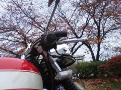 秋を探しに・・・(￣∇+￣)v