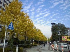 ぷかぷか・・・(￣∇＋￣)ｖ