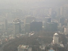 ぴょんきち　IN　ＳＥＯＵＬ二日目・・・(￣∇+￣)v